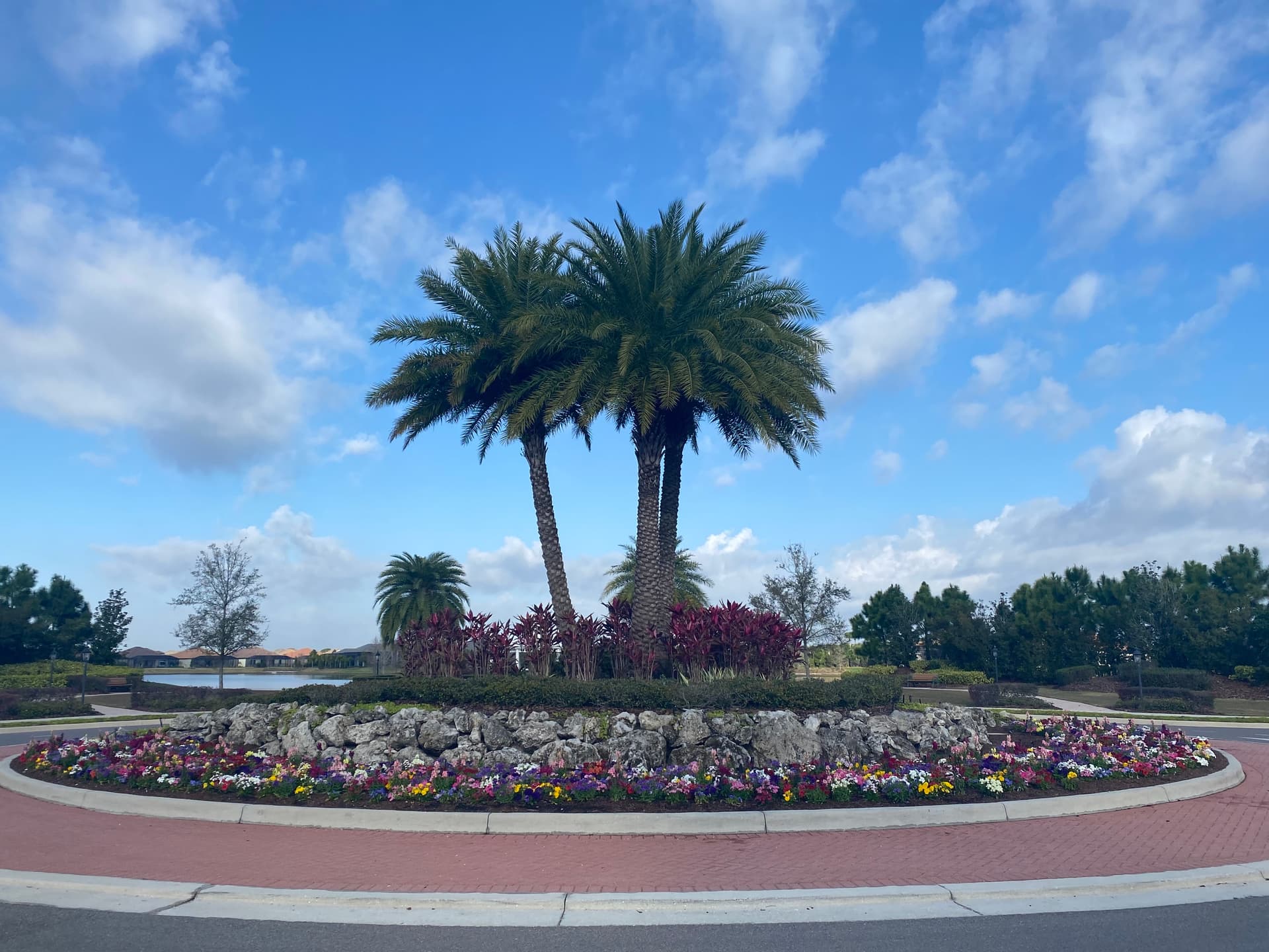Residential landscape maintained by Bushman's Landscape